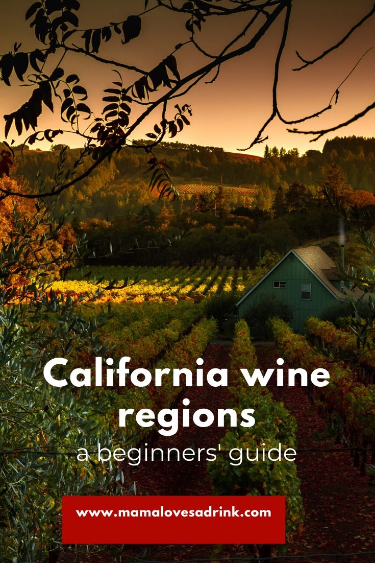 California's Wine Regions A Beginner's Guide Mama Loves A Drink