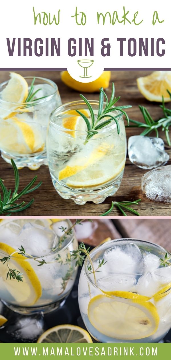 Virgin Gin and Tonic Mocktail Recipe Mama Loves A Drink