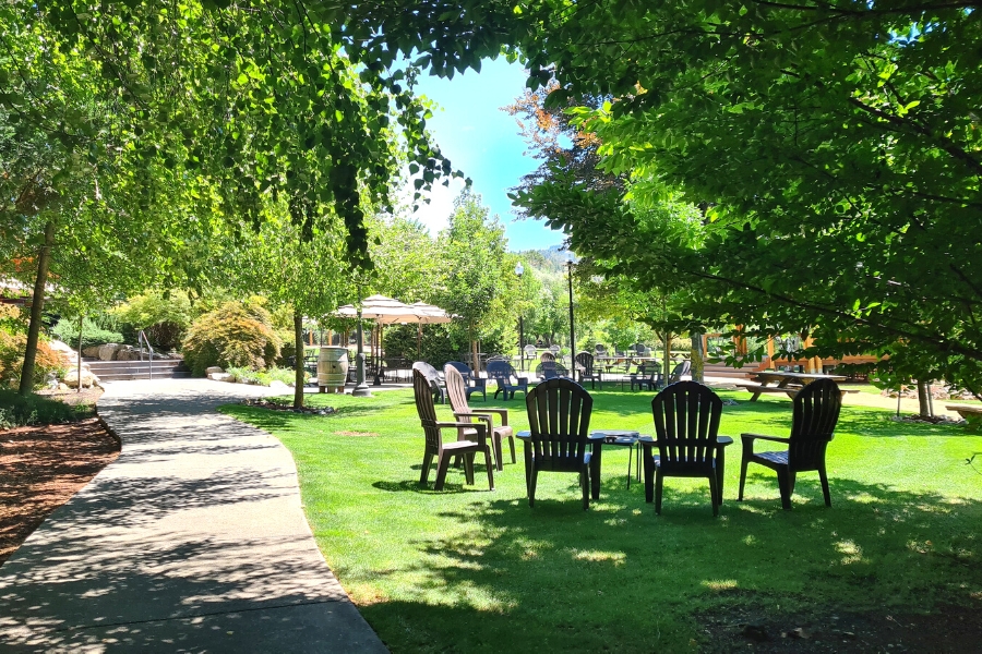 adironack chairs in the peaceful setting at Schmidt family vineyards in applegate valley AVA, southern oregon